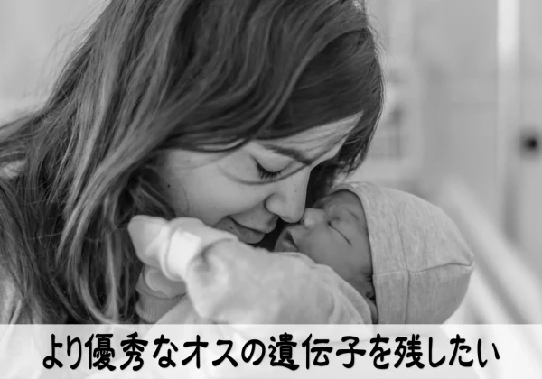 より優秀なオスの遺伝子を残したい